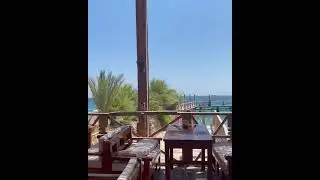 Where to have breakfast in Hurghada and take a selfie? #shorts #egypt #travel