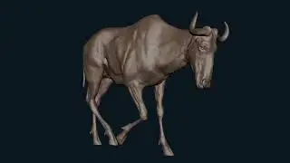 ZivaVFX