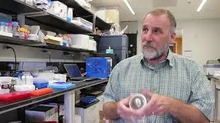Epilepsy drug modified by CU Pharmacy professor under clinical trial