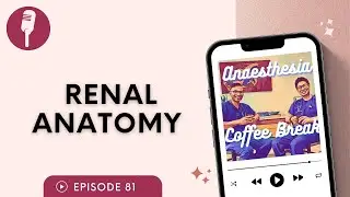 Renal anatomy | Anaesthesia Coffee Break Podcast #anesthesiology #anesthesia