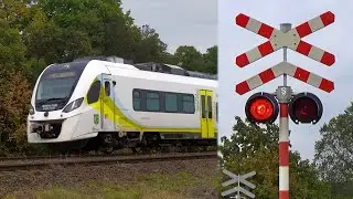 SSP kat. C w Dąbroszynie k/ Kostrzyna nad Odrą | Polish railroad crossing