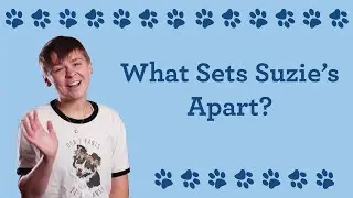 Suzie's Guides - What Sets Suzie's CBD Treats Apart #pettreats #petcbd #treatsfordogs