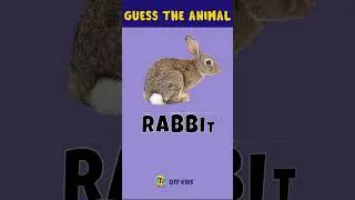Guess The Animal | Can You Guess the animal | QTP Kids #guesstheanimals #shorts #quiz