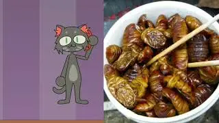 Talking TAMARA reacts to fried insects, #memes, animation by BonBon