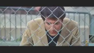 The Graduate Zoo scene. Watch this scene multiple times and look for symbolism.