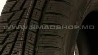 Шины Nokian WR G2