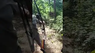 Shooting another moving target with my Falco Force bow