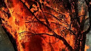 Out-of-control fire north west of Sydney