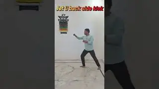 jet li kicks #jetlee #jackychan #brucelee #pali #2024 #india #bakihanma @palisportsclasses392