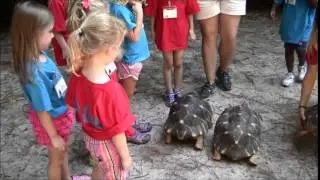 Summer Zoo Camp