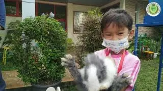SERU BANGET! Mini Zoo di Sekolah | KB-TK Islam Nur Hikmah