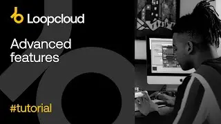 Loopcloud &mdash; обзор расширенных функций