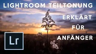 LIGHTROOM TEILTONUNG ERKL&Auml;RT!