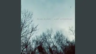 Lost Afternoon
