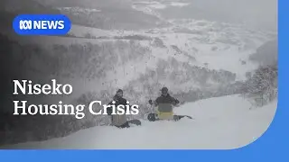 Influx of international visitors leading to housing crisis in Japan's Niseko | ABC NEWS