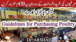 Guidelines For Purchasing Poultry | Fancy Hen Farming Business in Pakistan | Dr. ARSHAD
