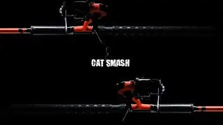 Mach Cat Smash Spinning Combo