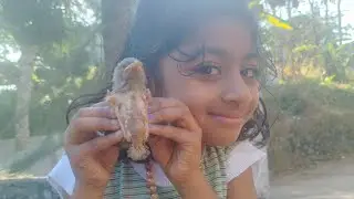 Finding a tiny guest ❤️❤️❤️❤️❤️ #ytviral #video #trending #explore #birds 