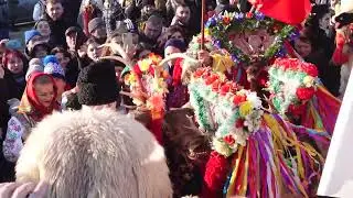 Plugușorul și caprele din Cilibiu 2022