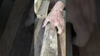 #wood #woodlife #woodworking #carpentrylife #carpentry #woodworklife #woodwor #shorts #youtubeshorts