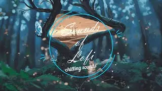 Nadav Cohen - Stories from another world [lofi hip hop/relax music/chill beats]
