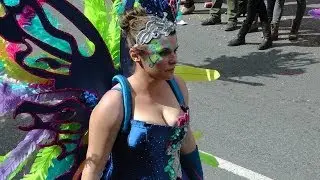 Desfile de Carnaval 2014