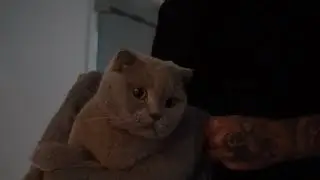 Nacho und Bounty sind komplett &uuml;berfordert 😂