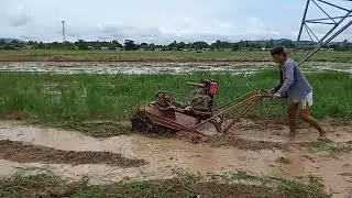 Turtle Power Tiller | Grass,Weed destroyer in rice field land prep