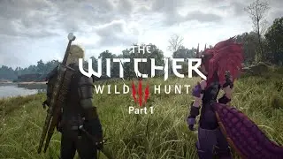 [Witcher 3] First Time Playthrough!