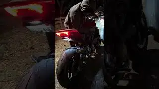 2023 Ducati Monster Plus with full Shifttech exhaust #ducati #monster #motorcycle #shifttech