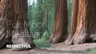 November Full Moon Meditation: Respectful | In Relationship with TreeSisters