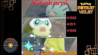 EASY SHINY SWINUB EXPLOIT, Kitakami force spawn, shiny hunting guide pokemon scarlet and violet, DLC