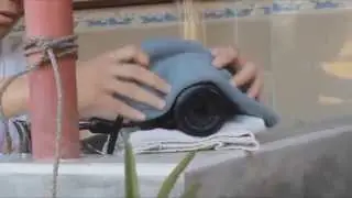 4some Productions_VA3: Branded Videos