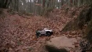 Axial Wraith - Axial SCX10 JEEP / Phoenix RC Hamburg