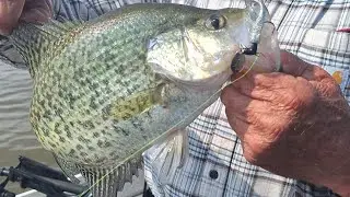 Longlining Kentucky Lake Crappie 4/26/25 Action Packed Long Version