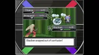 Pok&eacute;mon Reborn: Soloing Shelly with Blaziken