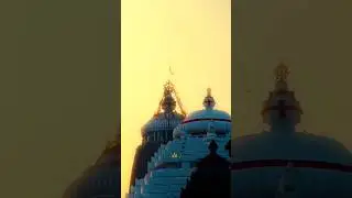 #jayjagannathswami #jayjagannath #jagannathtemple #purijagannath #shortsfeed #viralvideo