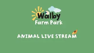 Live Lamb Cam - Walby Farm Park