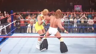 Mr Perfect ( c ) vs Texas Tornado - WWF Intercontinental Championship , Summerslam 1990. WWE 2K22