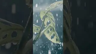 RAIN 180Fps (LUMIX GH5)
