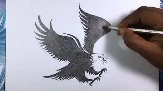 How to Draw a Flying Bald Eagle । Baj ki Drawing। Pencil Sketch Bald Eagle।
