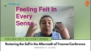 Feeling Felt In Every Sense -- Benjamin Pandev-Girard session at Restoring The Self Conference 2022