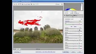 Editing 1-0-1 in (Adobe&reg;) - Creative Suite, Photoshop, Elements, Lightroom, (Microsoft) - Paintshop,