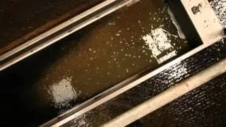 Footbathing Video
