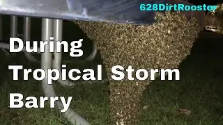 Midnight Swarm In The Psych Ward / Everything Bee Vac / EZ Nuc