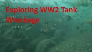Diving into History: Discovering WWII Tank Shipwrecks