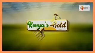 | Kenya's Gold | Gold Feature | Focus on Mixed Farming