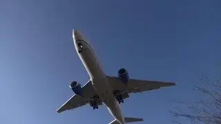 AIRPORT FRANKFURT MAIN air traffic 367 #aviation #planespotting