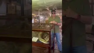 lampazo fragata sarmiento, perro embalsamado, historia fragata sarmiento, curiosidades argentina