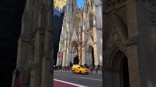 What Makes New York City So Cool? | Travel and Learn Languages #usa #newyork